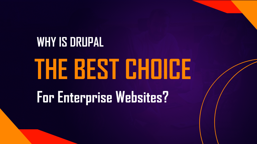 Drupal is the best choice for enterprise websites.